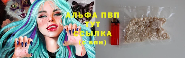 шишки Балабаново