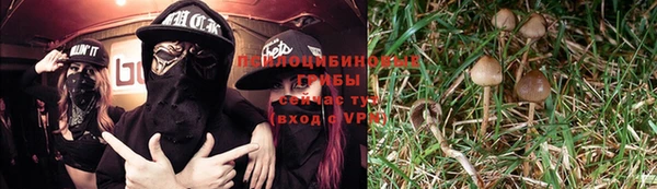 MESCALINE Арсеньев