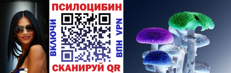 Псилоцибиновые грибы мицелий  Теберда 